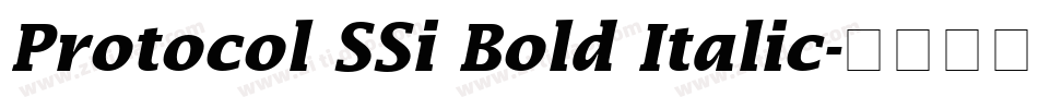 Protocol SSi Bold Italic字体转换